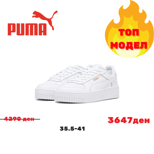 Пума 393846-01